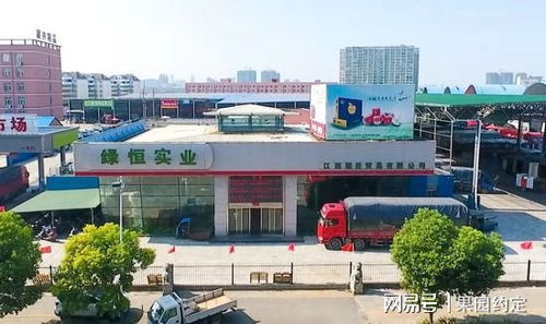 江西水果市場回暖,南昌深圳農產品批發市場日銷10000余噸